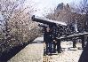 Québec, Canons